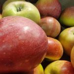 hvorfor-eplebiter-er-nodvendige-hvordan-soppel-pa-bordet-blir-eddik.jpg